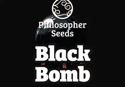 Black Bomb