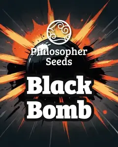 Black Bomb