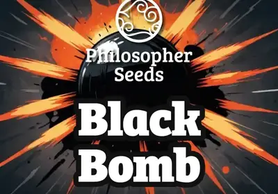 Black Bomb