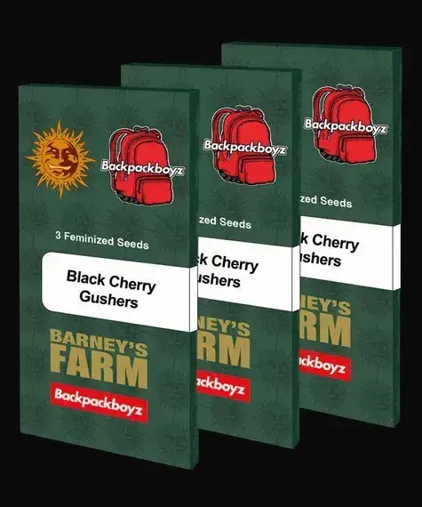 Black Cherry Gushers — zdjęcie 3