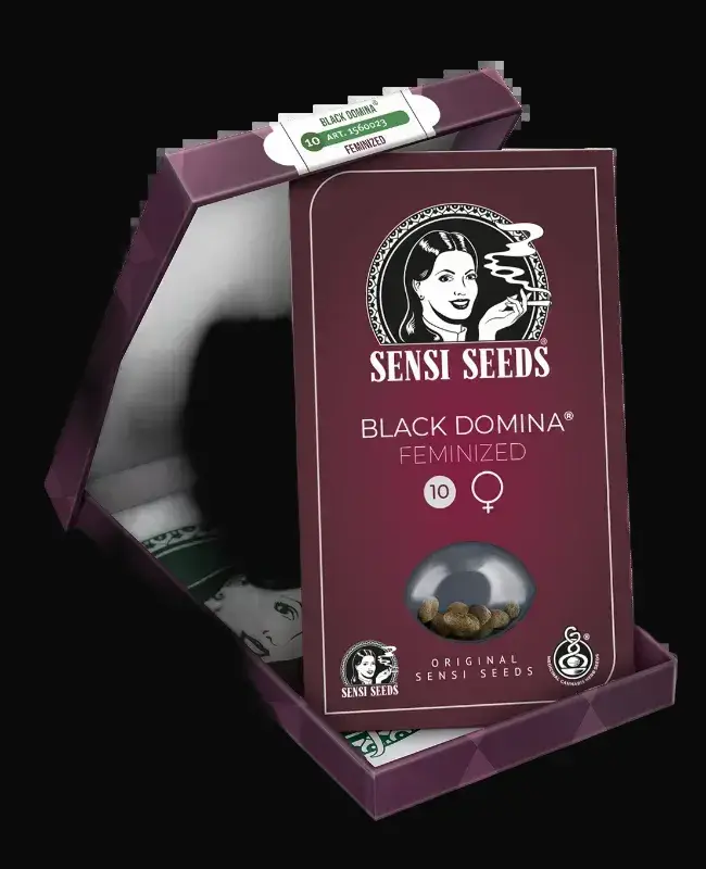 Black Domina Feminized — zdjęcie 7