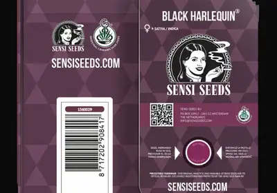 Black Harlequin
