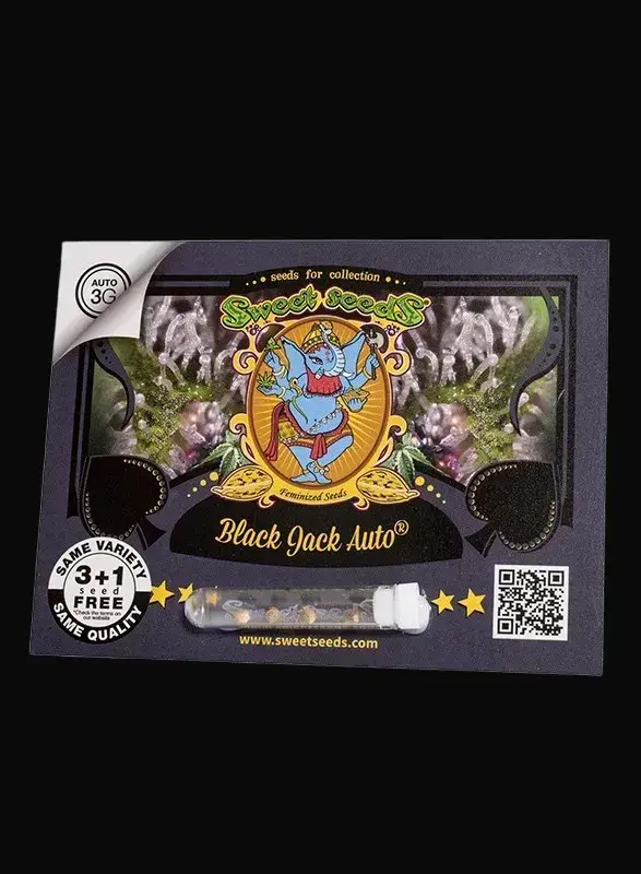Black Jack Auto — zdjęcie 2