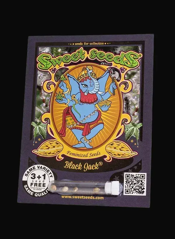 Black Jack — zdjęcie 4