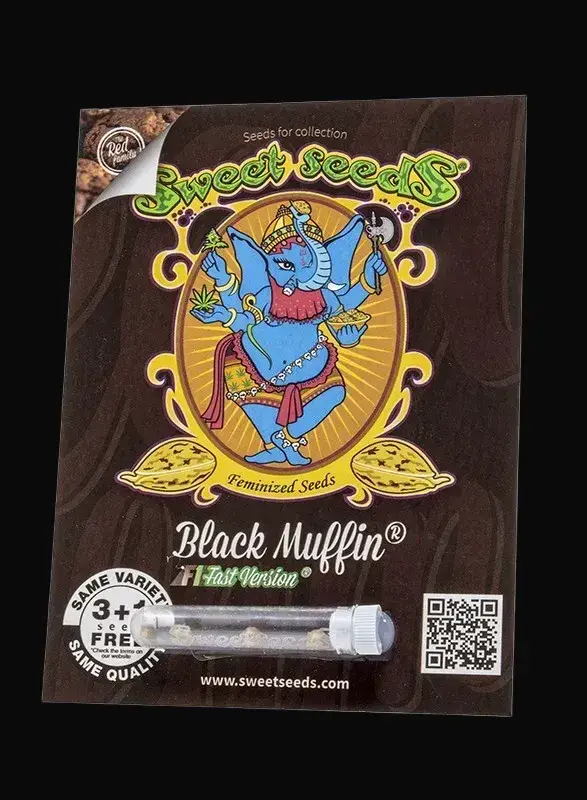 Black Muffin F1 Fast Version — zdjęcie 2