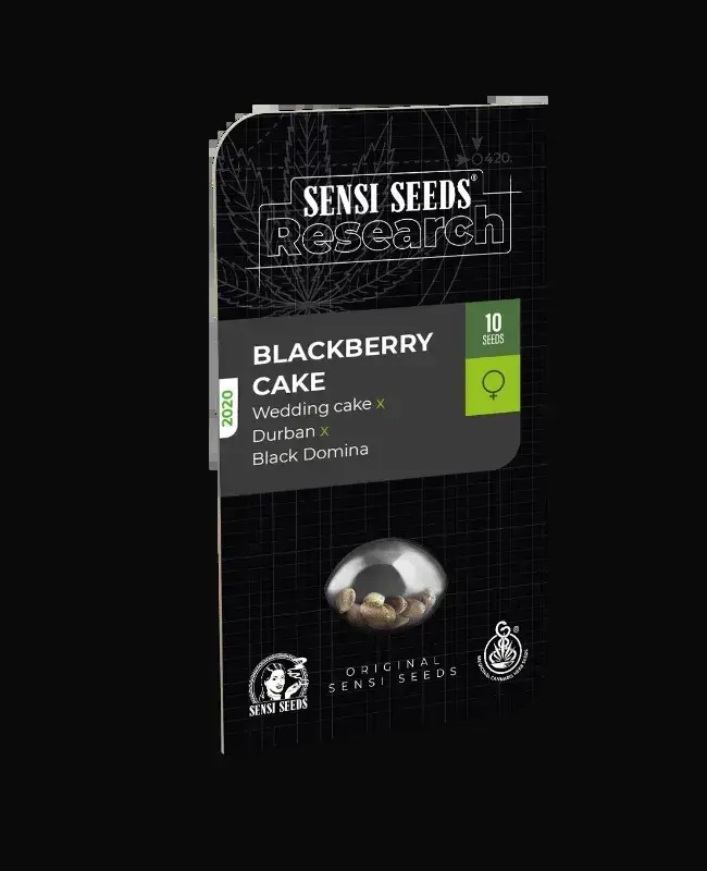 Blackberry Cake Feminized — zdjęcie 3