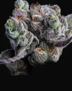 Blackberry Moonrocks