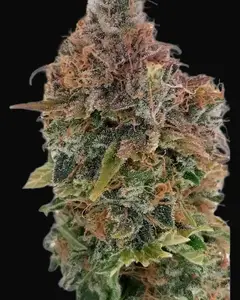Blue Caramel
