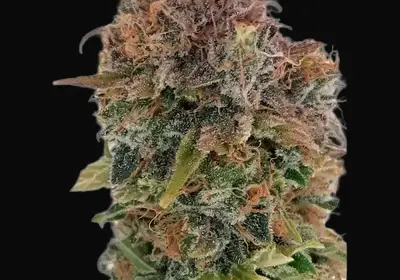 Blue Caramel