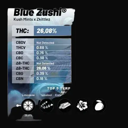 Blue Zushi — zdjęcie 4