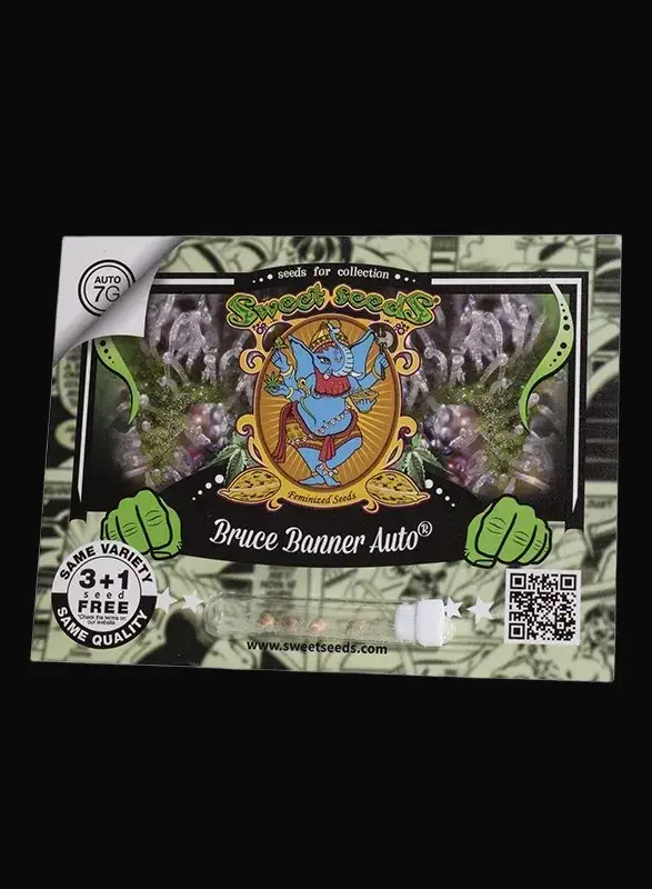 Bruce Banner Auto — zdjęcie 3