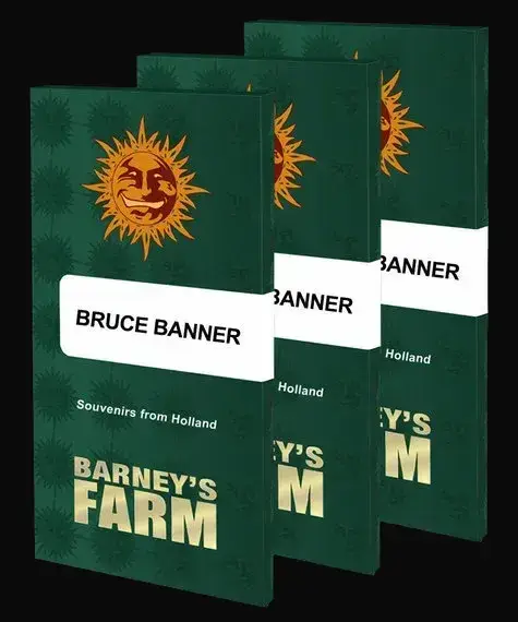 Bruce Banner — zdjęcie 4