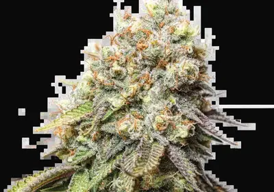 Bruce Banner