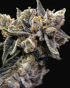Bruised Banana