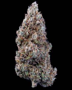Bubbasquanch Auto