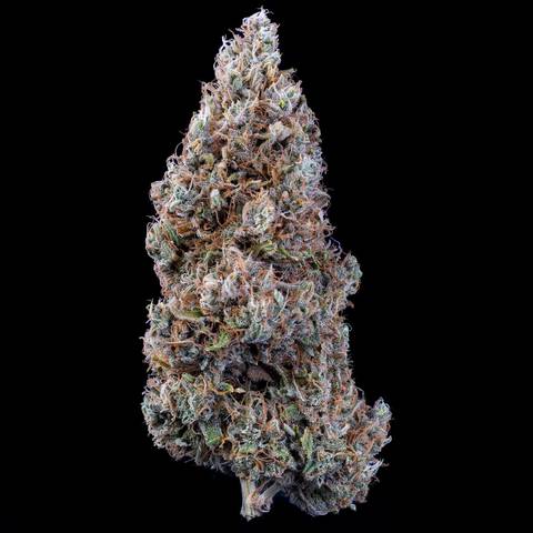 Bubbasquanch Auto