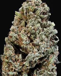 California Dream