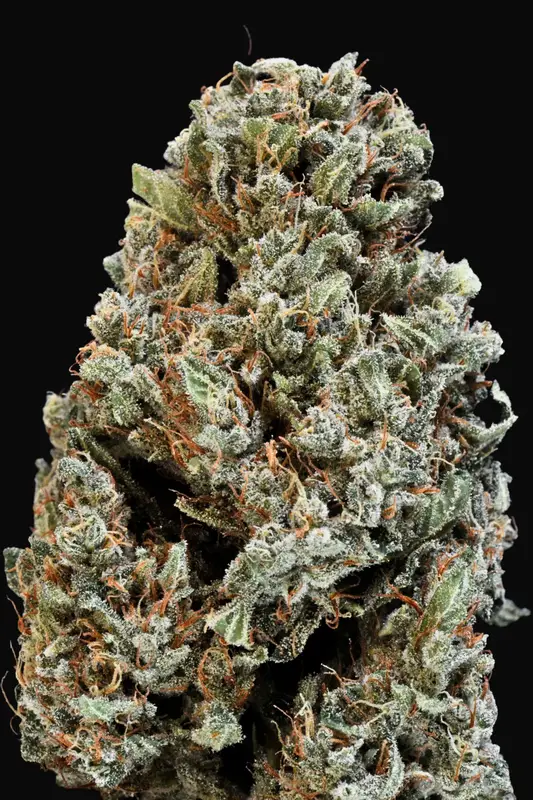 California Dream