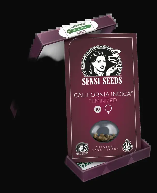 California Indica Feminized — zdjęcie 3