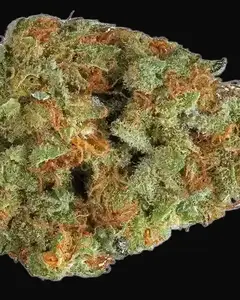 Cannalope Haze