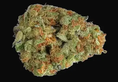 Cannalope Haze