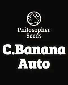 C.Banana Auto