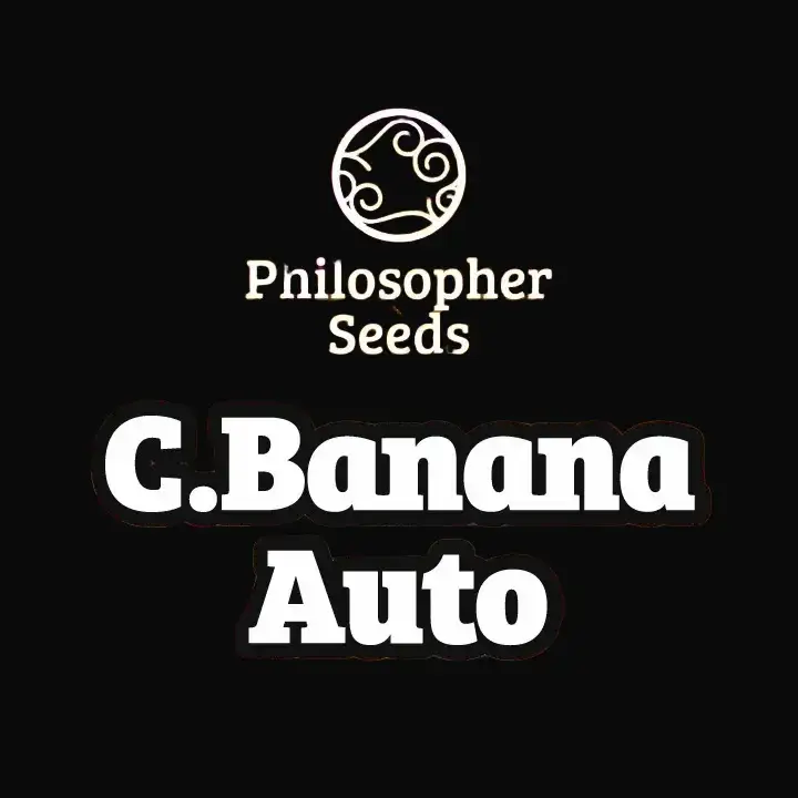 C.Banana Auto