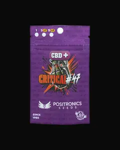 CBD + Critical 47