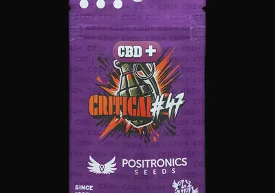 CBD + Critical 47