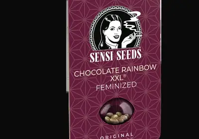 Chocolate Rainbow XXL