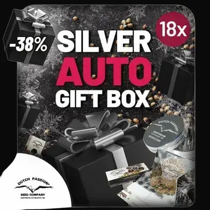 Christmas Discount Gift Box Autoflower — zdjęcie 2