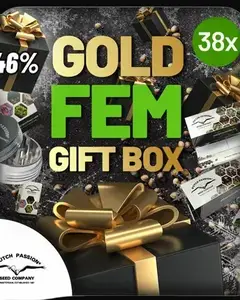 Christmas Discount Gift Box Feminized