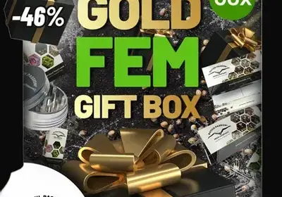 Christmas Discount Gift Box Feminized