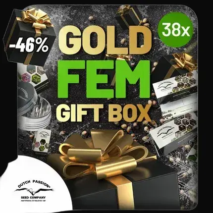 Christmas Discount Gift Box Feminized