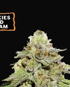 Cookies and Cream