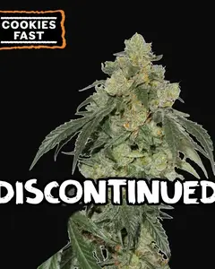 Cookies Fast