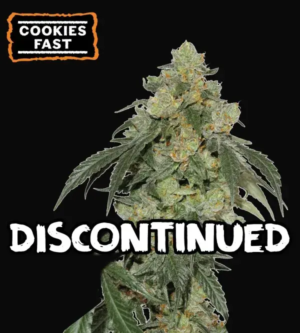 Cookies Fast
