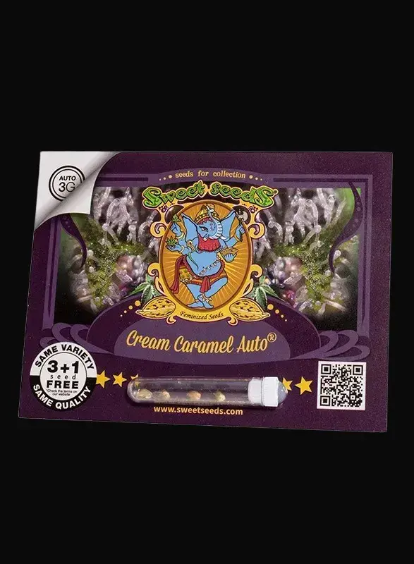 Cream Caramel Auto — zdjęcie 3