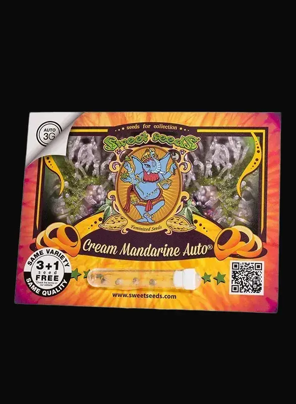 Cream Mandarine Auto — zdjęcie 2