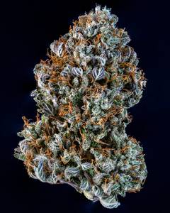 Creme de la Chem Auto