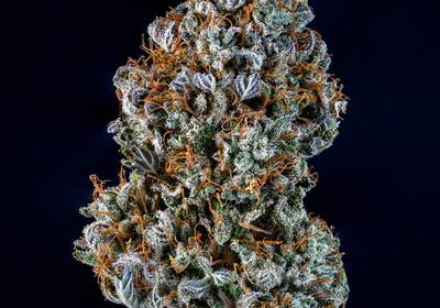Creme de la Chem Auto