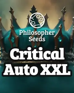 Critical Auto XXL