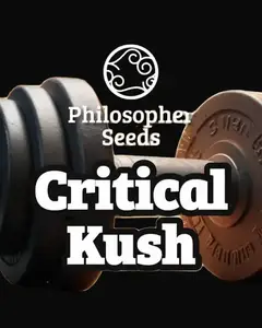 Critical Kush
