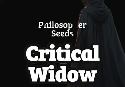 Critical Widow