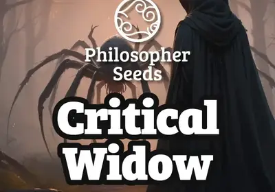 Critical Widow