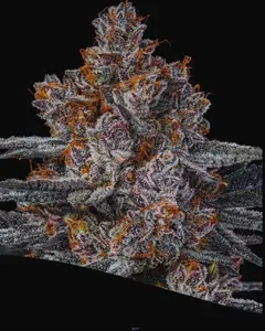 Dankberry