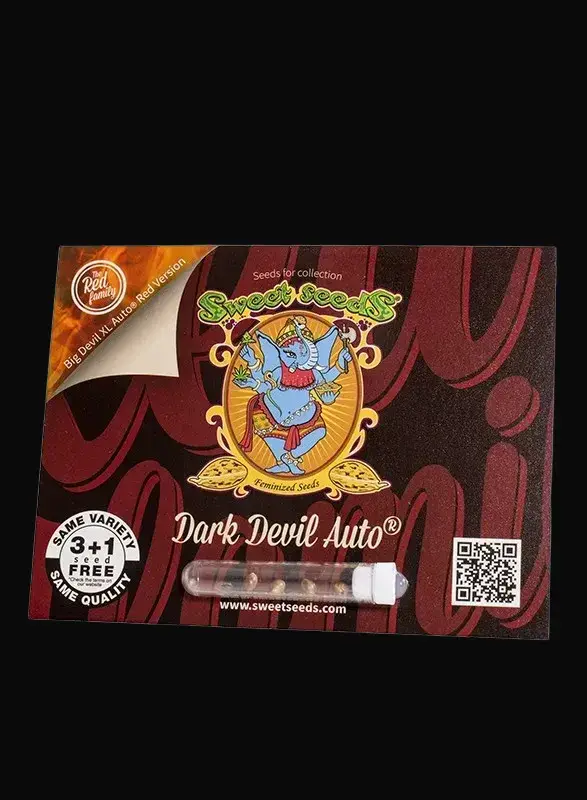 Dark Devil Auto — zdjęcie 3