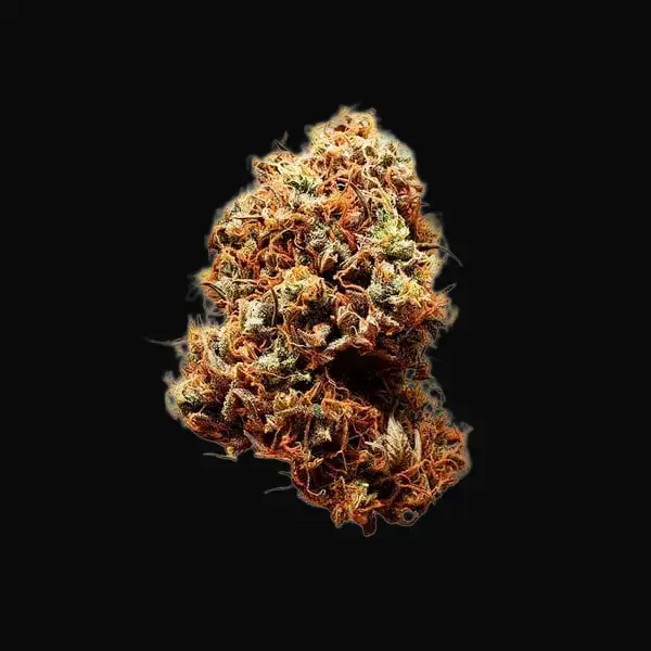 Diesel Auto — zdjęcie 3
