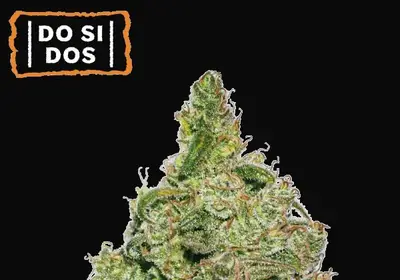 Do Si Dos