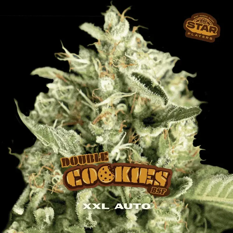 Double Cookies Auto